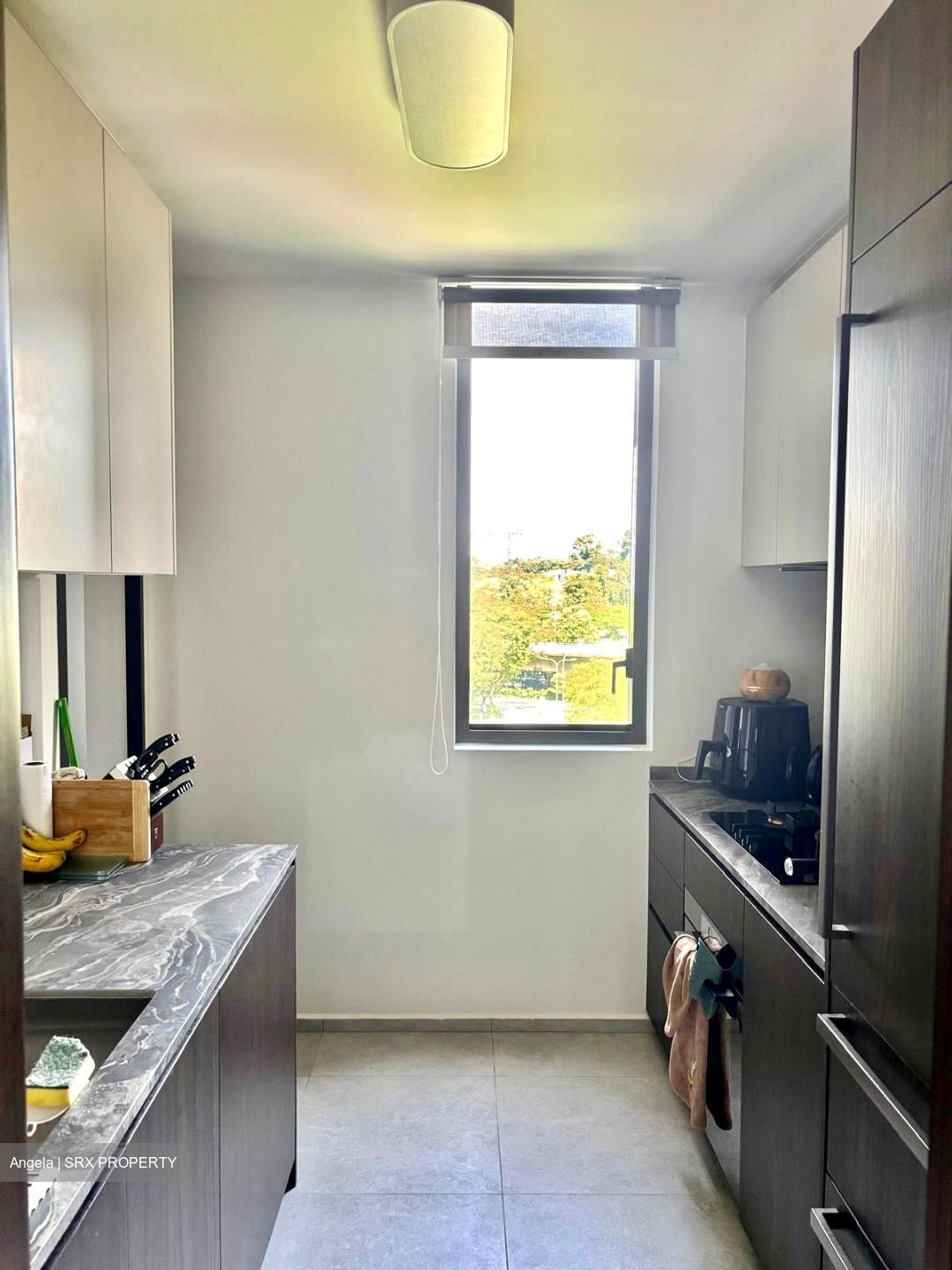 Leedon Green (D10), Condominium #483264521